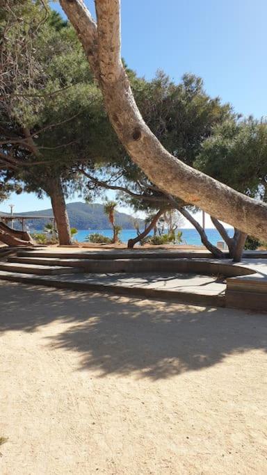 Castel Du Soleil, Bord De Mer, 4 Pers サン・シル・シュル・メール エクステリア 写真