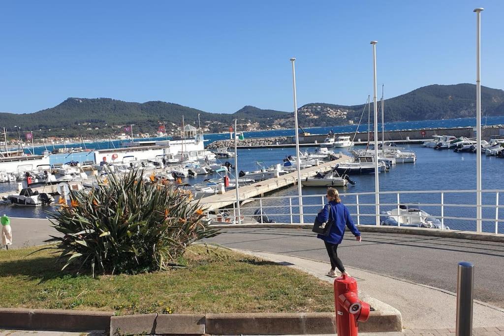 Castel Du Soleil, Bord De Mer, 4 Pers サン・シル・シュル・メール エクステリア 写真